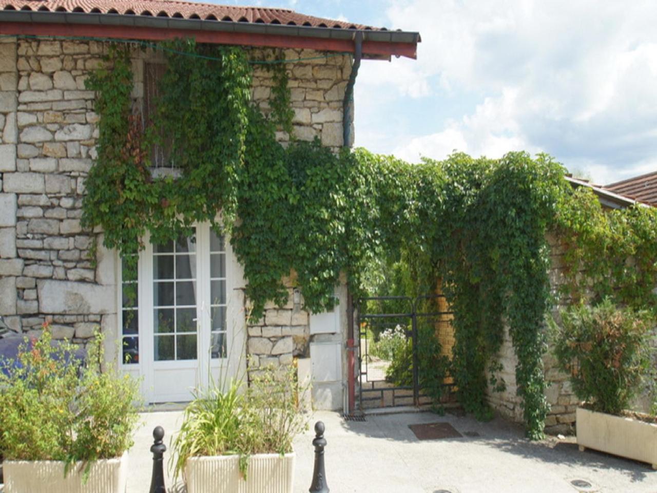 Chez Michel Hotel Oyonnax Kültér fotó